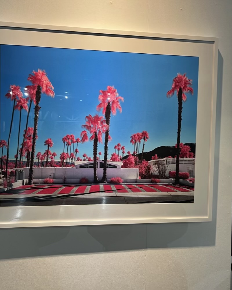 Framed photographic artwork of pink palm trees against a blue sky